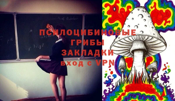 стафф Балахна