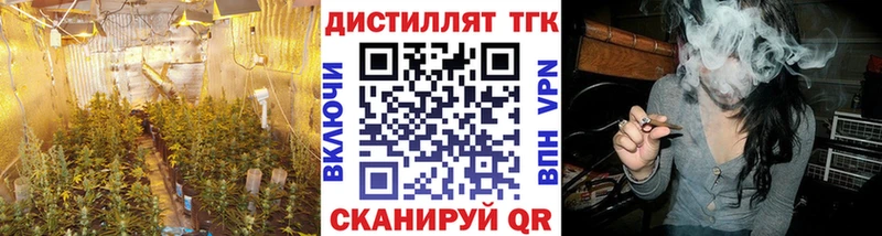 Дистиллят ТГК THC oil  blacksprut как зайти  Северо-Курильск 